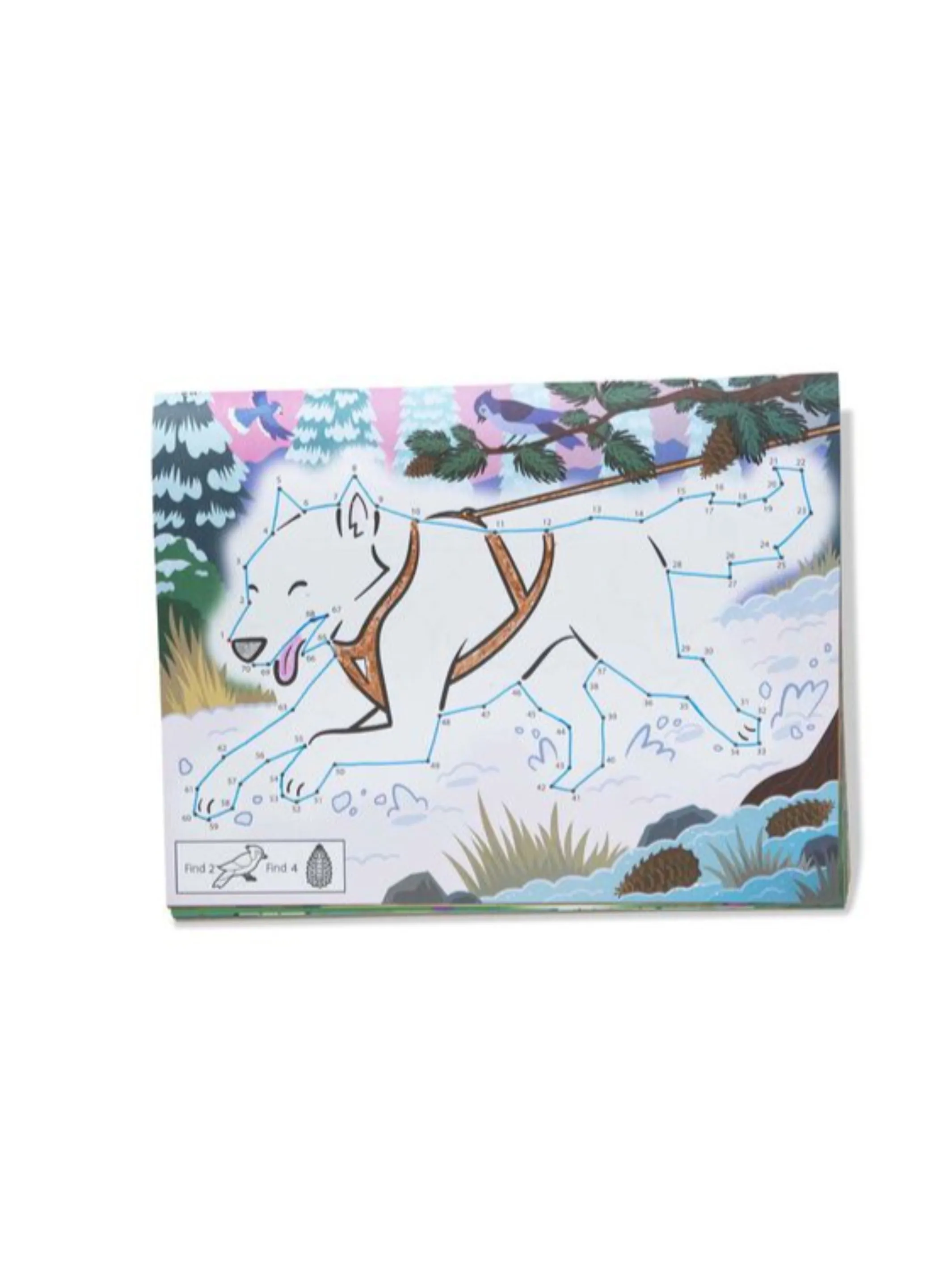 123 Dot-to-Dot Coloring Pad - Pets