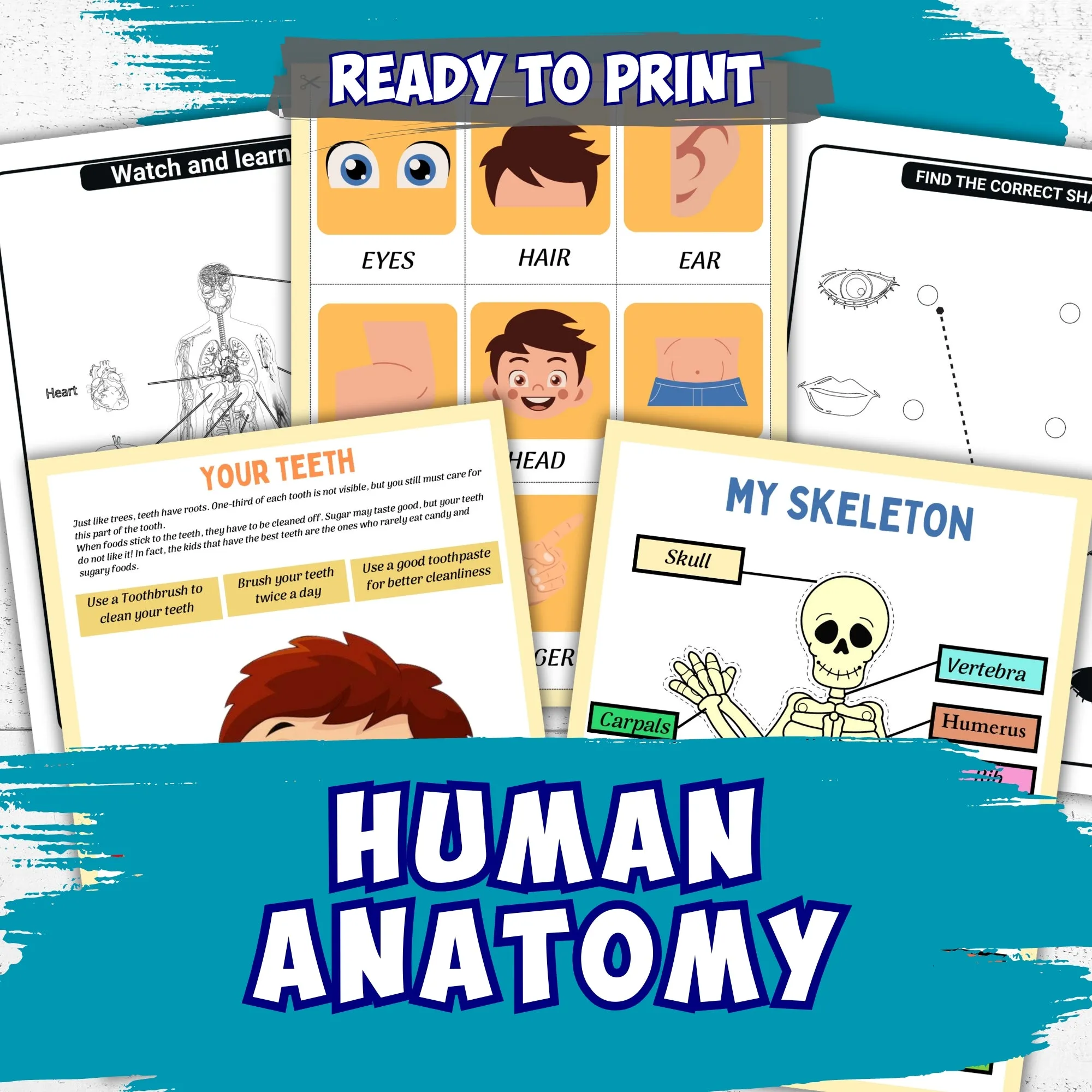 5,000  Pre-k and Kindergarten Worksheets Ultimate Bundle