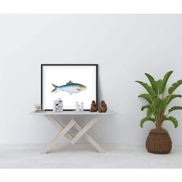 Alabama state saltwater fish | Tarpon