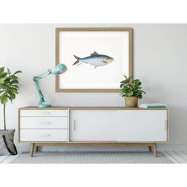 Alabama state saltwater fish | Tarpon