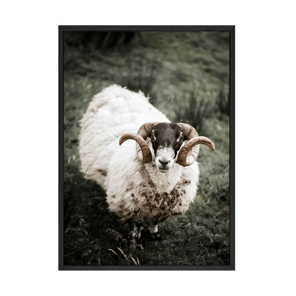Animal Antelope Wall Art