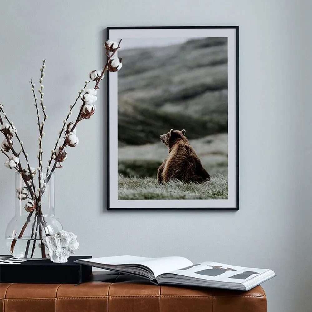 Animal Antelope Wall Art