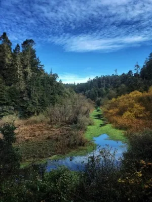 Becky Jaffe: View From The Skunk Train