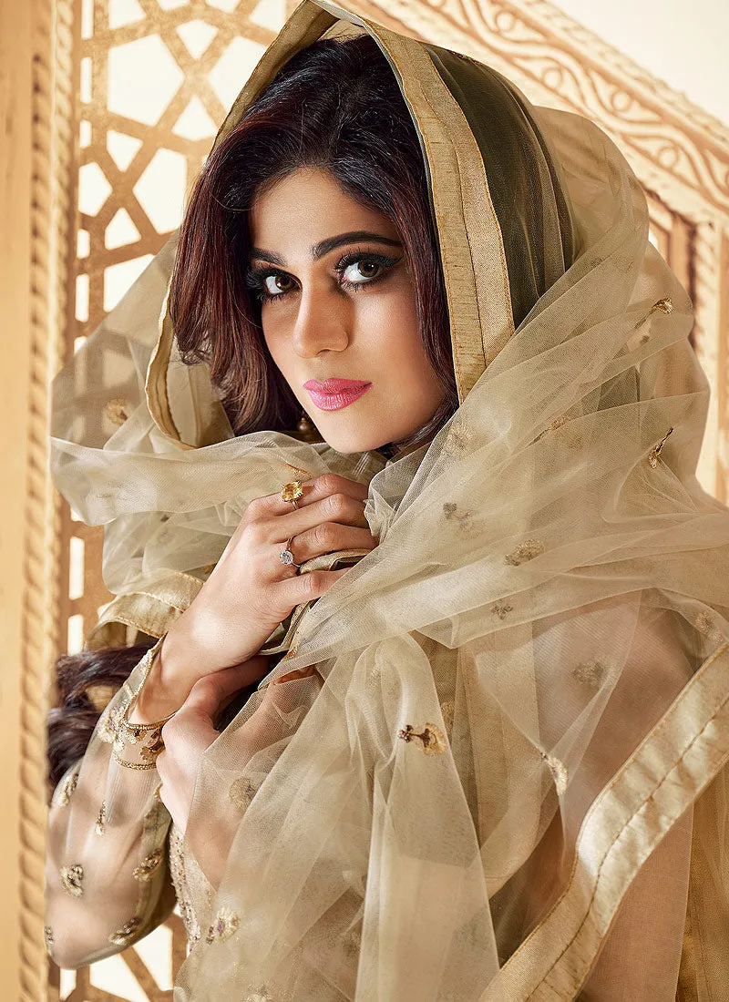 Beige Golden Traditional Embroidered Anarkali Suit