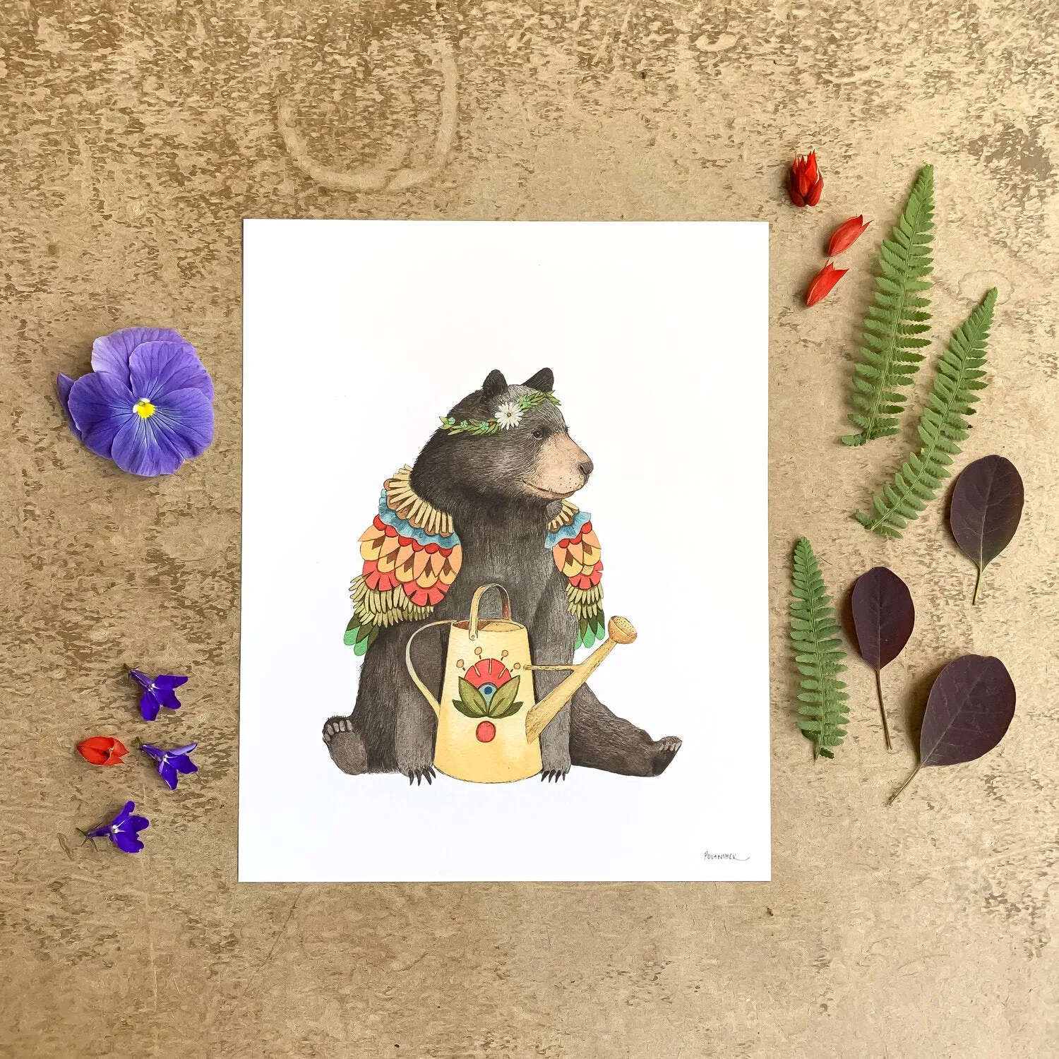 Bernice's Watering Can 8x10 Print