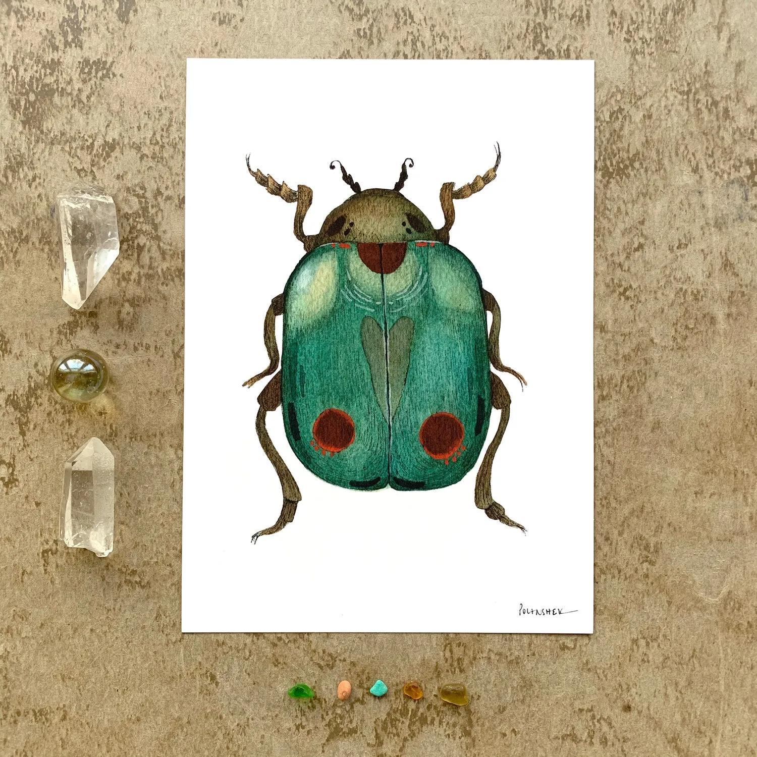 Bug Collection: Beetle 5x7 Print