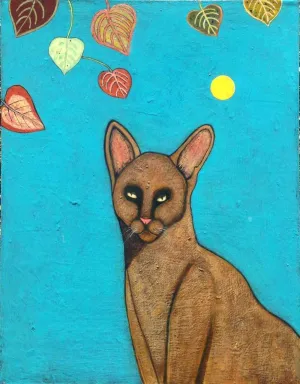 Caramel Cat
