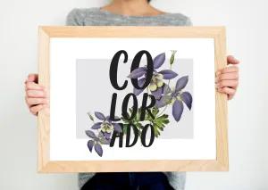 Colorado art print, Colorado columbine flower print, Colorado floral clipart, Colorado gifts, botanical wall art, nature lover gift