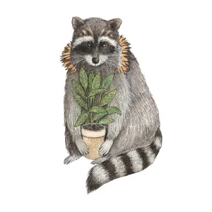 Critters and Plants: The Raccoon 5x7 Print