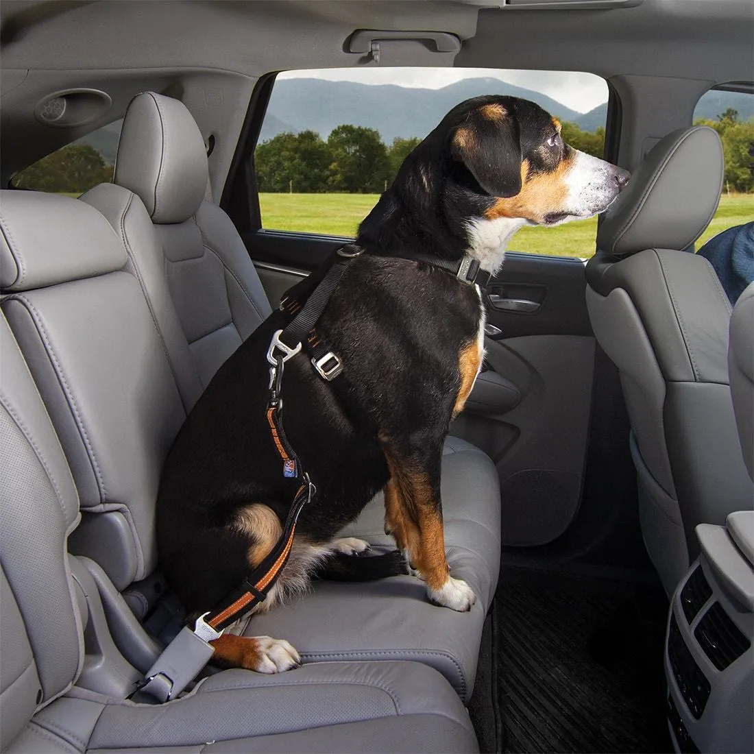 Direct to Seatbelt Swivel Tether
