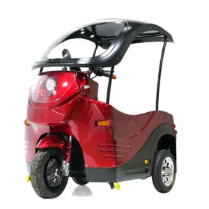 eChariot Electric Wheelchair Moped