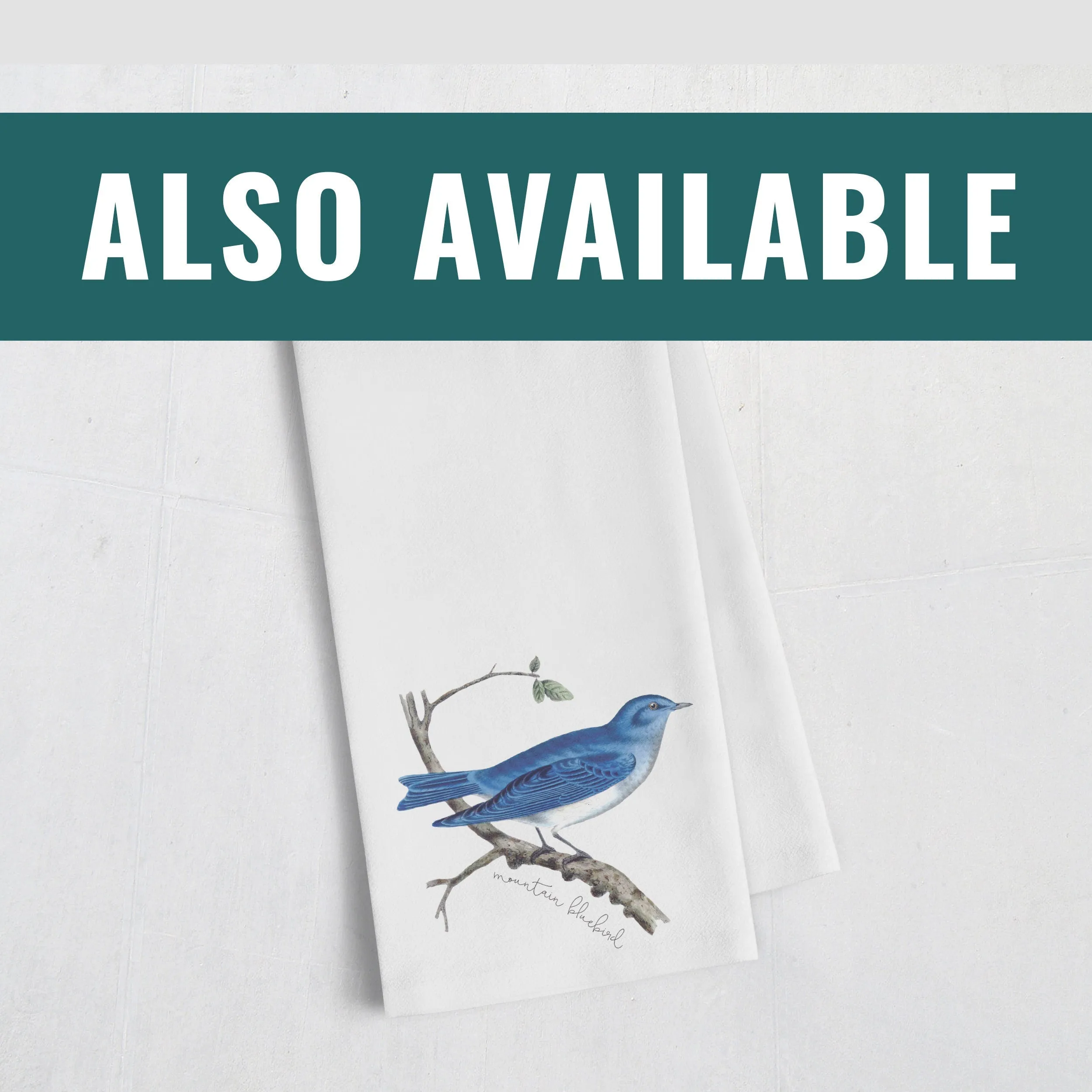 Finch Image Art Print, New Hampshire State Bird Wall Decor, Cute Finch Home Decor, NH Nature Print for Bird Lovers
