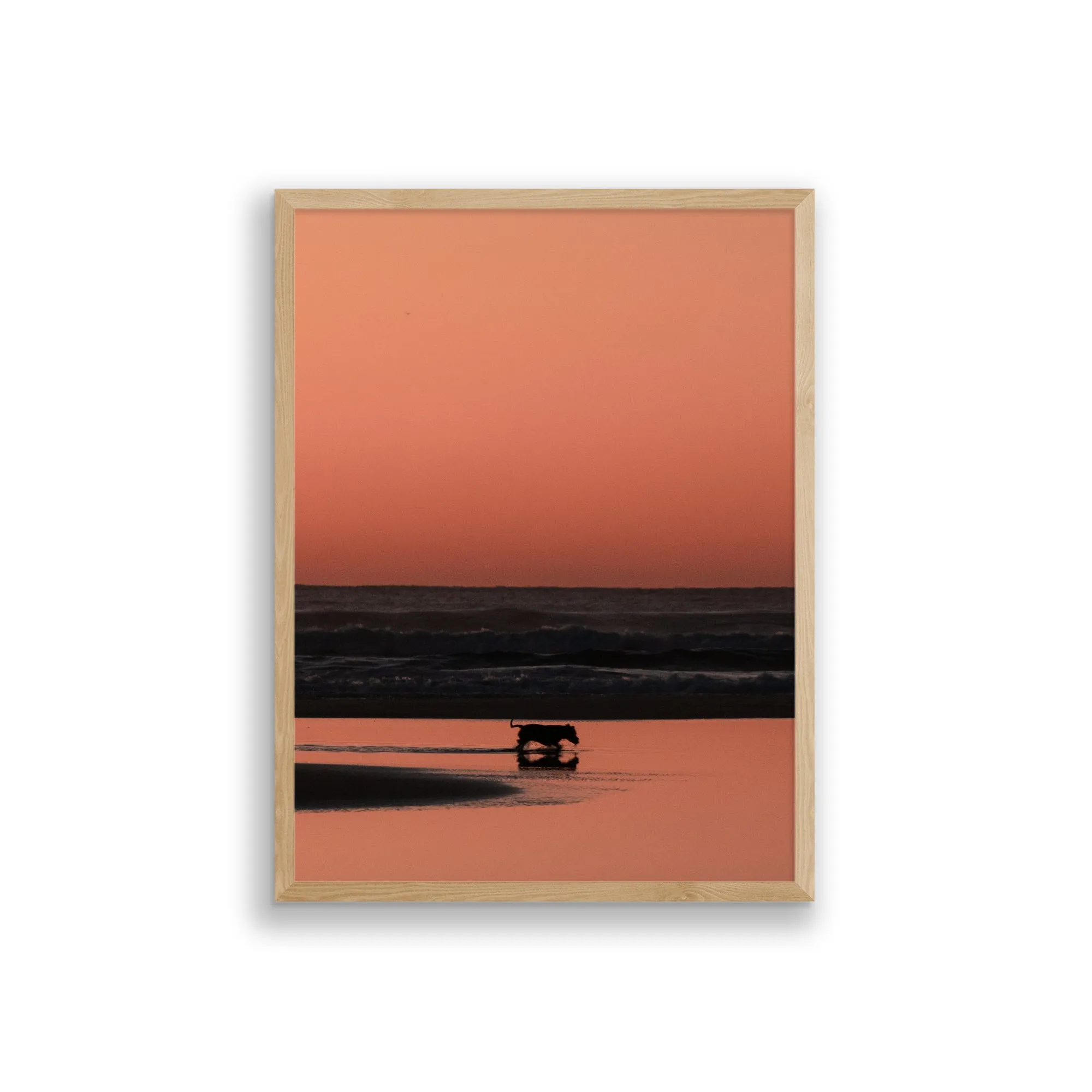 Fine Art Photo Print // Shepherds Delight