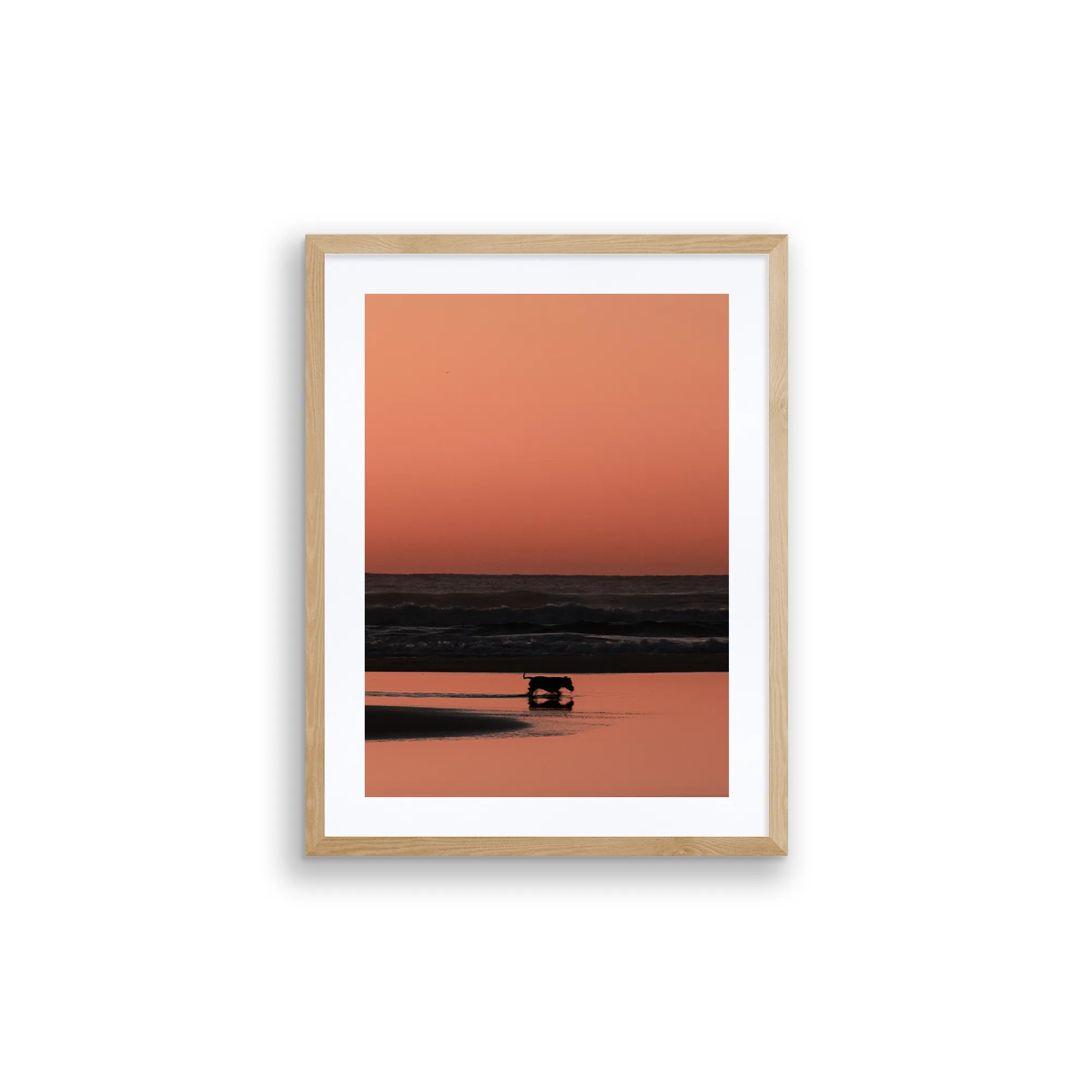 Fine Art Photo Print // Shepherds Delight