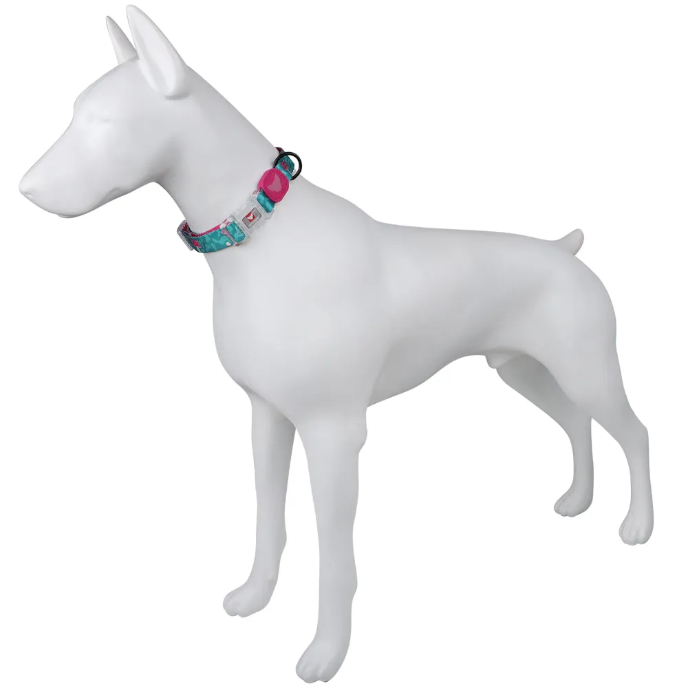 Fungi Nylon Dog Collar | It’s a Fluffing Vibe – Es Una Vibra Muy Perra Collection