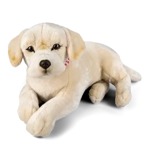 Giant Golden Labrador