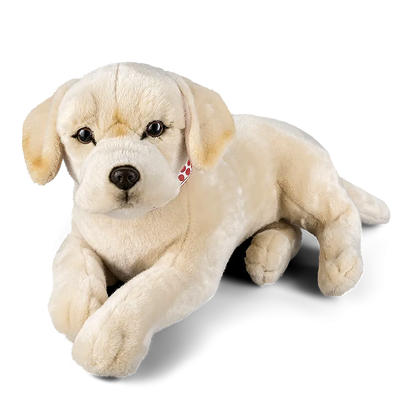 Giant Golden Labrador
