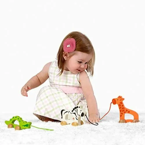 Hape Zebra