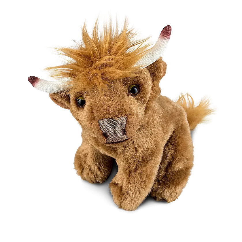 Highland Cow