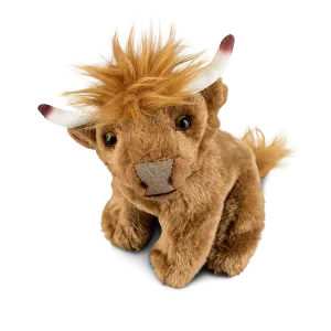 Highland Cow
