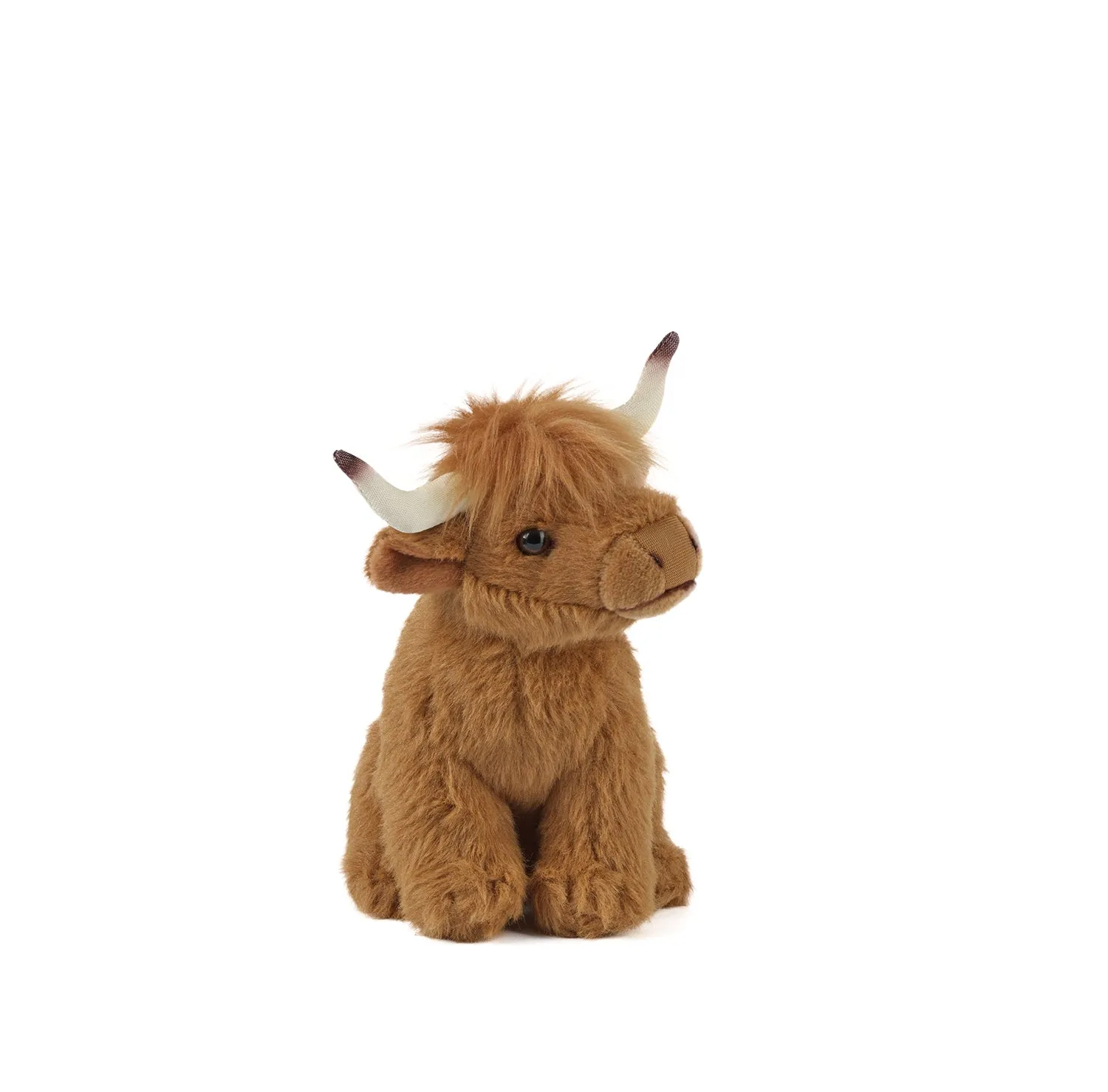 Highland Cow