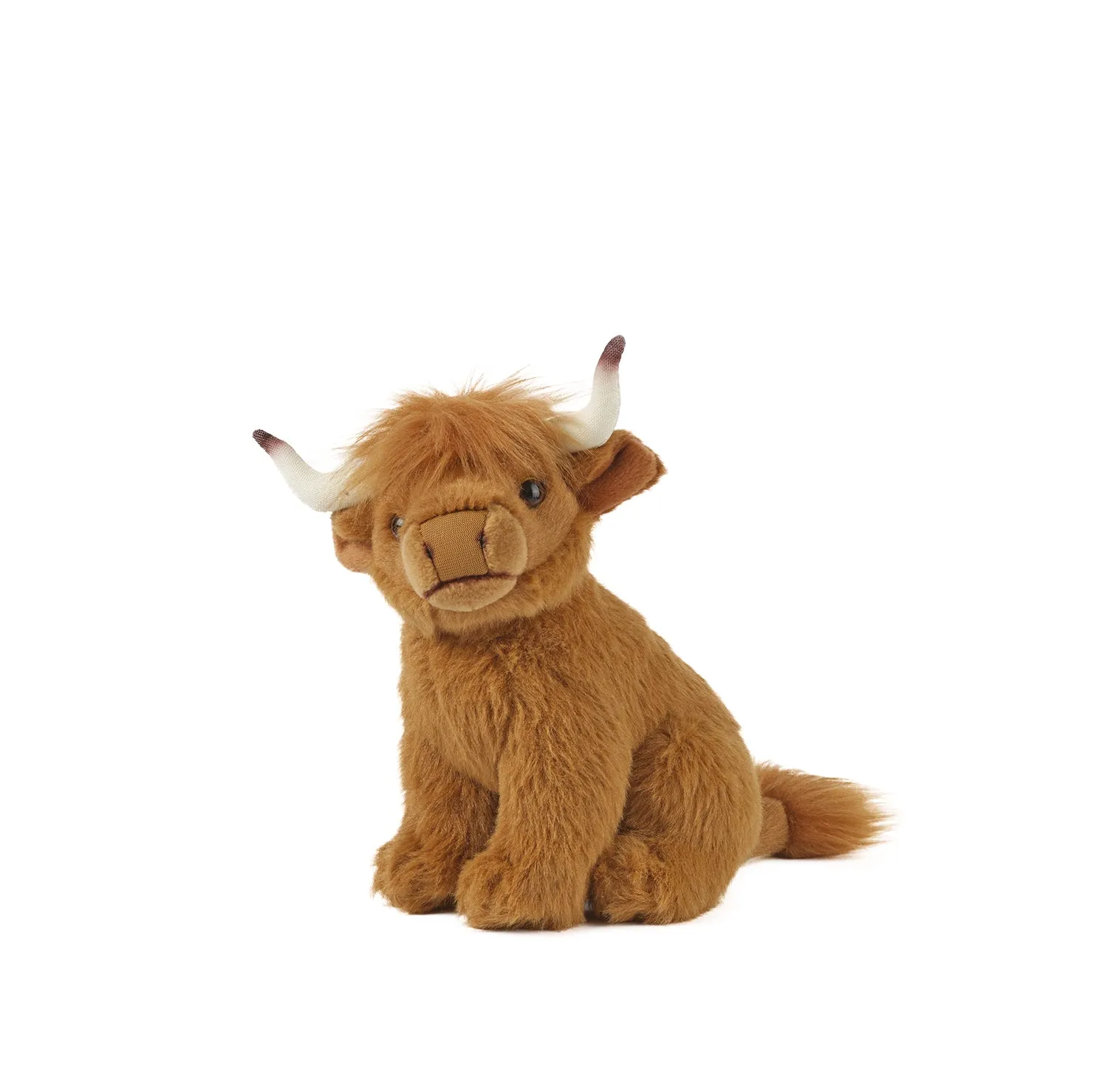 Highland Cow