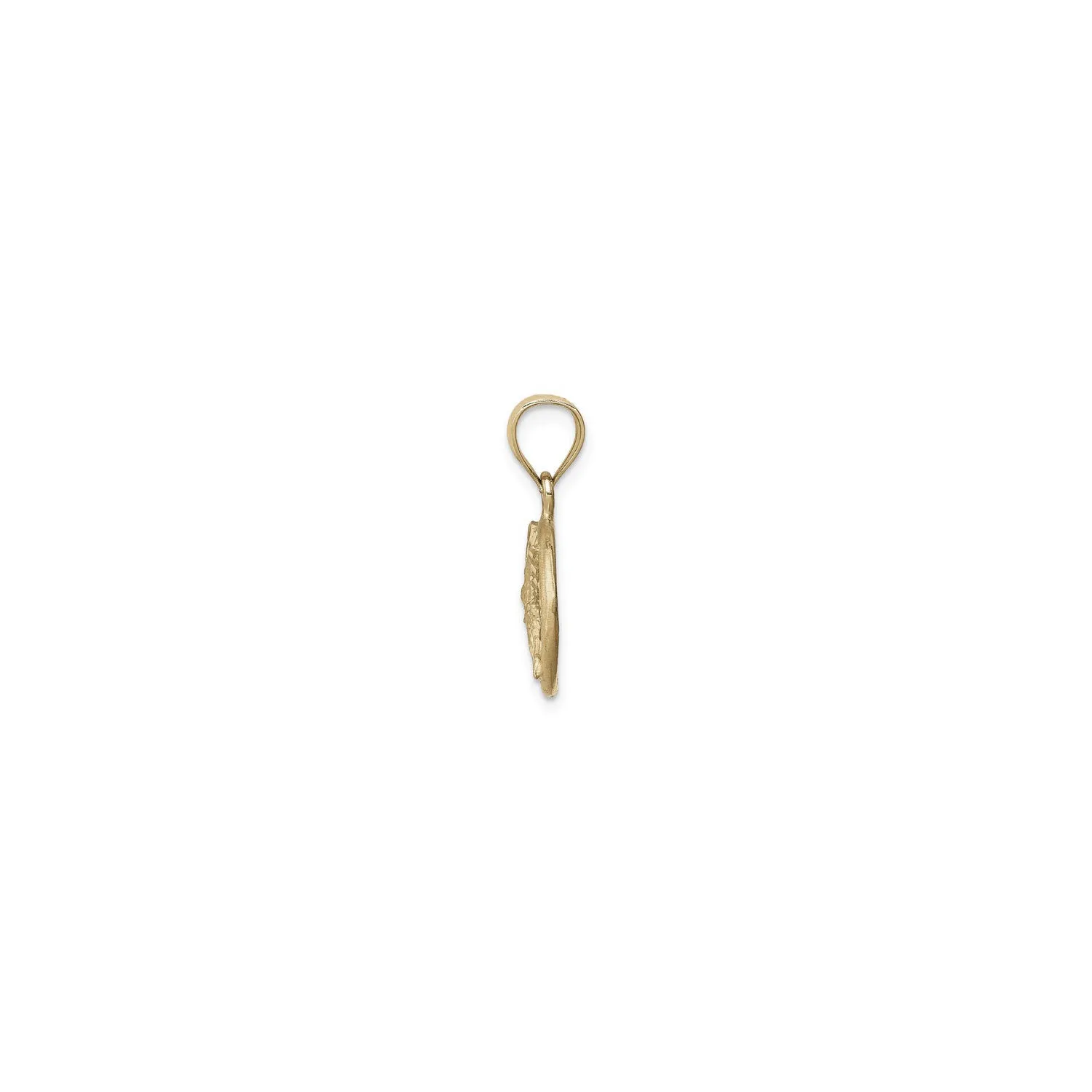 Hummingbird Sandblasted Oval Pendant (14K)