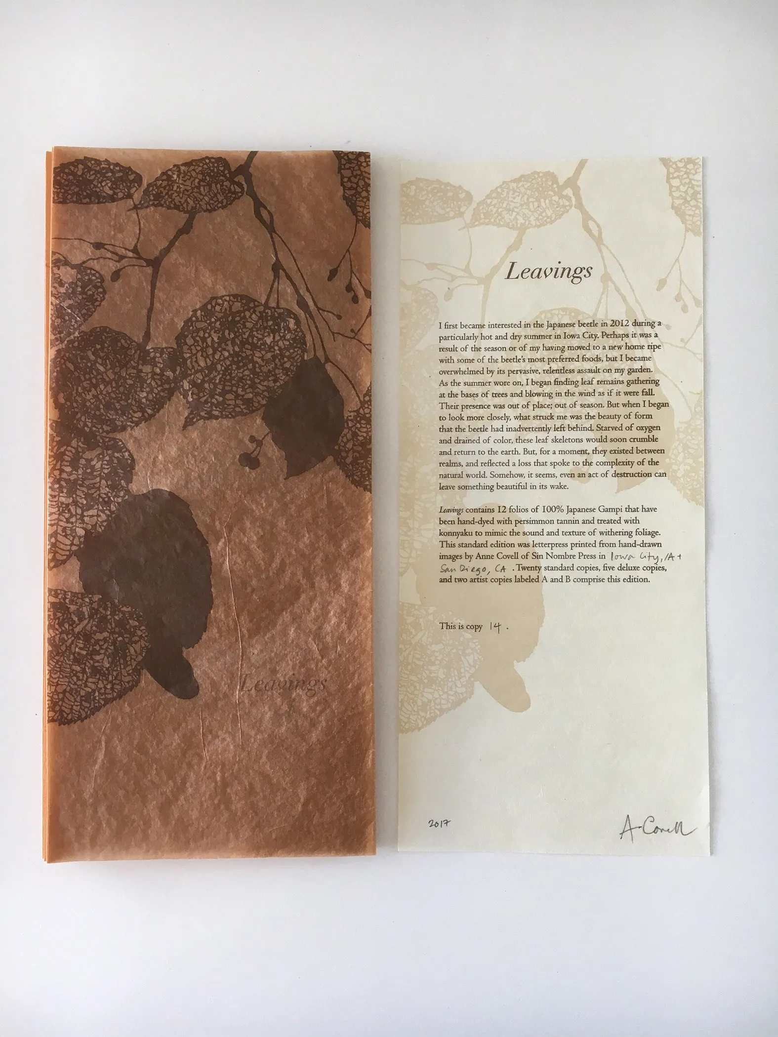Leavings by Anne Covell