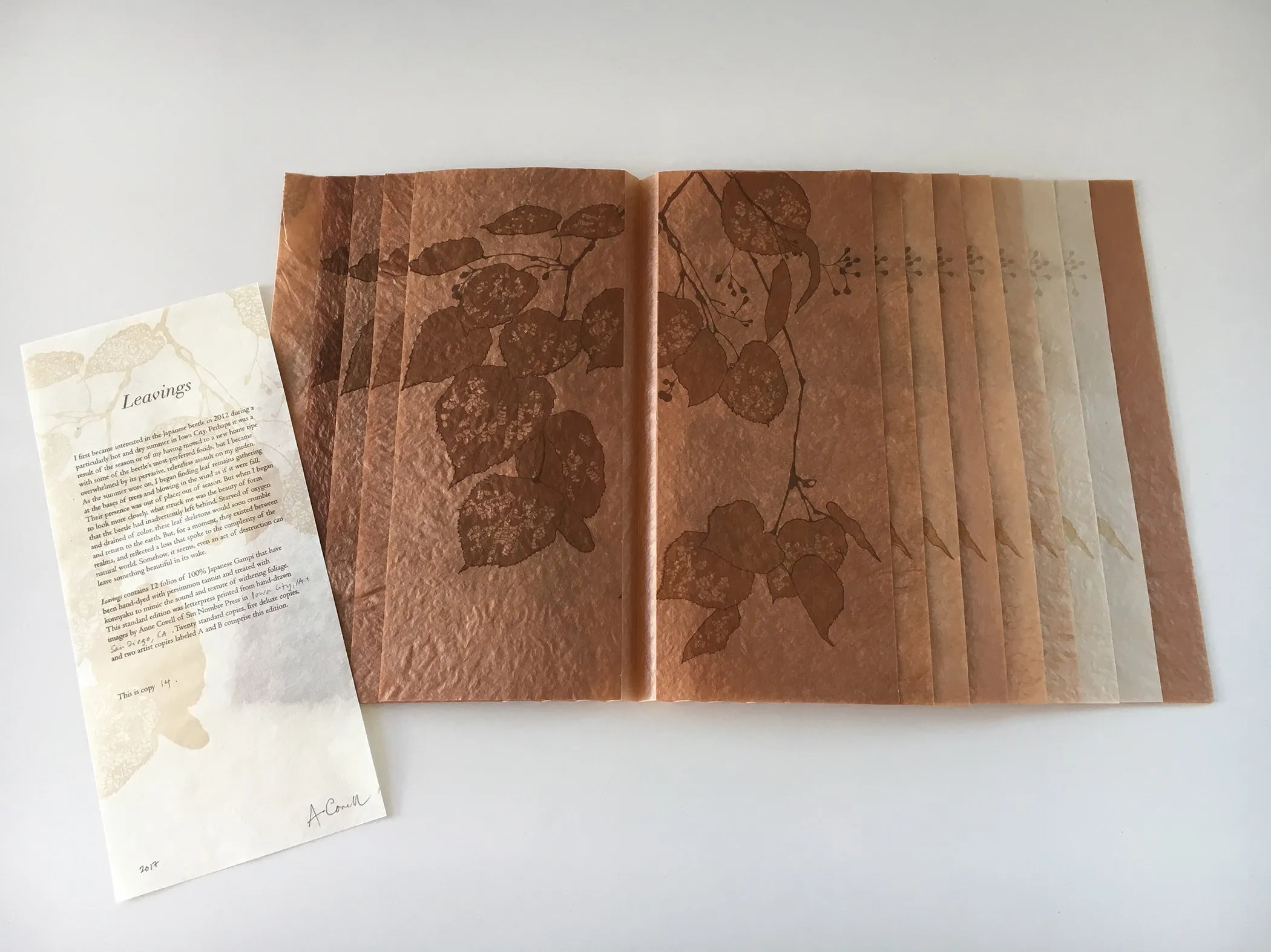 Leavings by Anne Covell