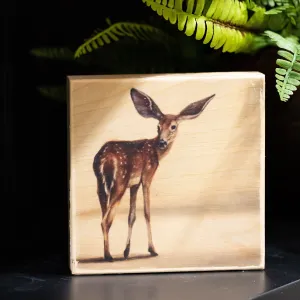 Lone Deer With Super Ears