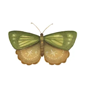 Mineral Moth: Peridot Print 5x7