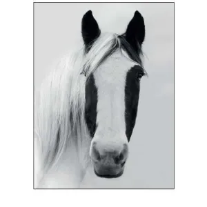 Nordic Horse I