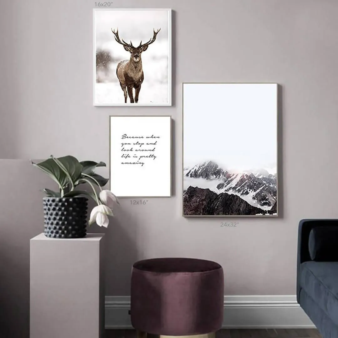 Northern Deer