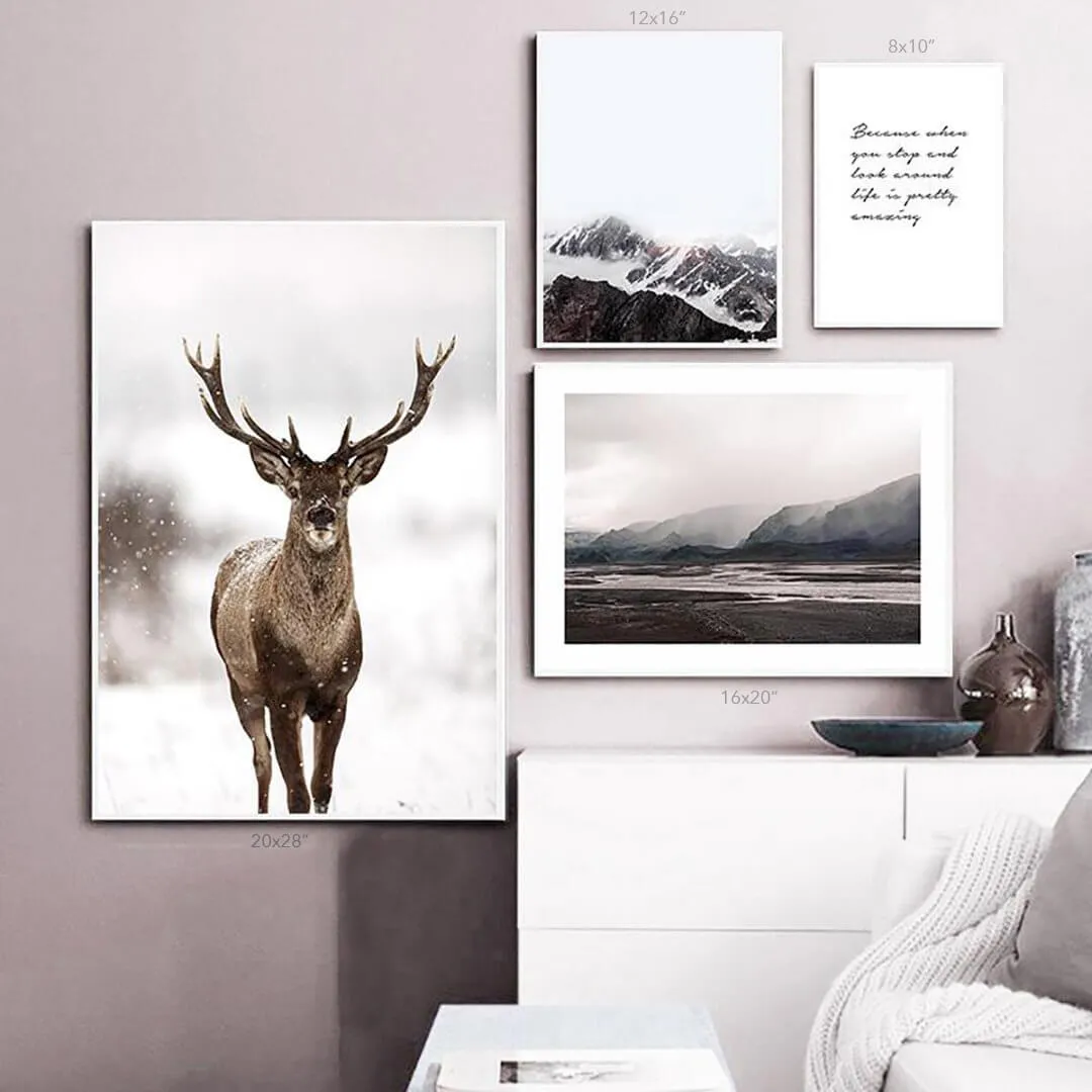 Northern Deer