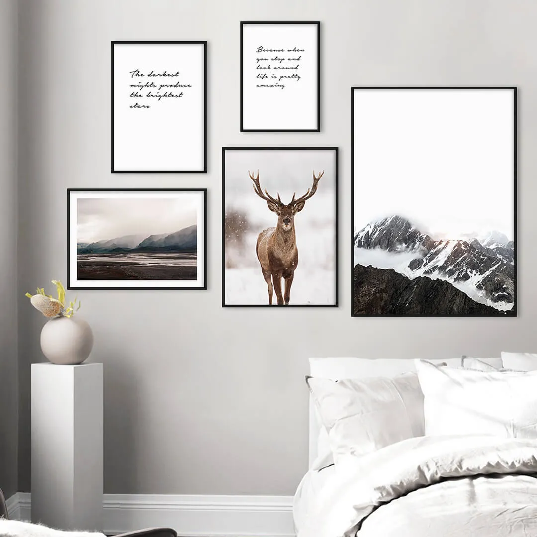 Northern Deer