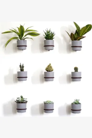 PLANT HANGER - SINGLE