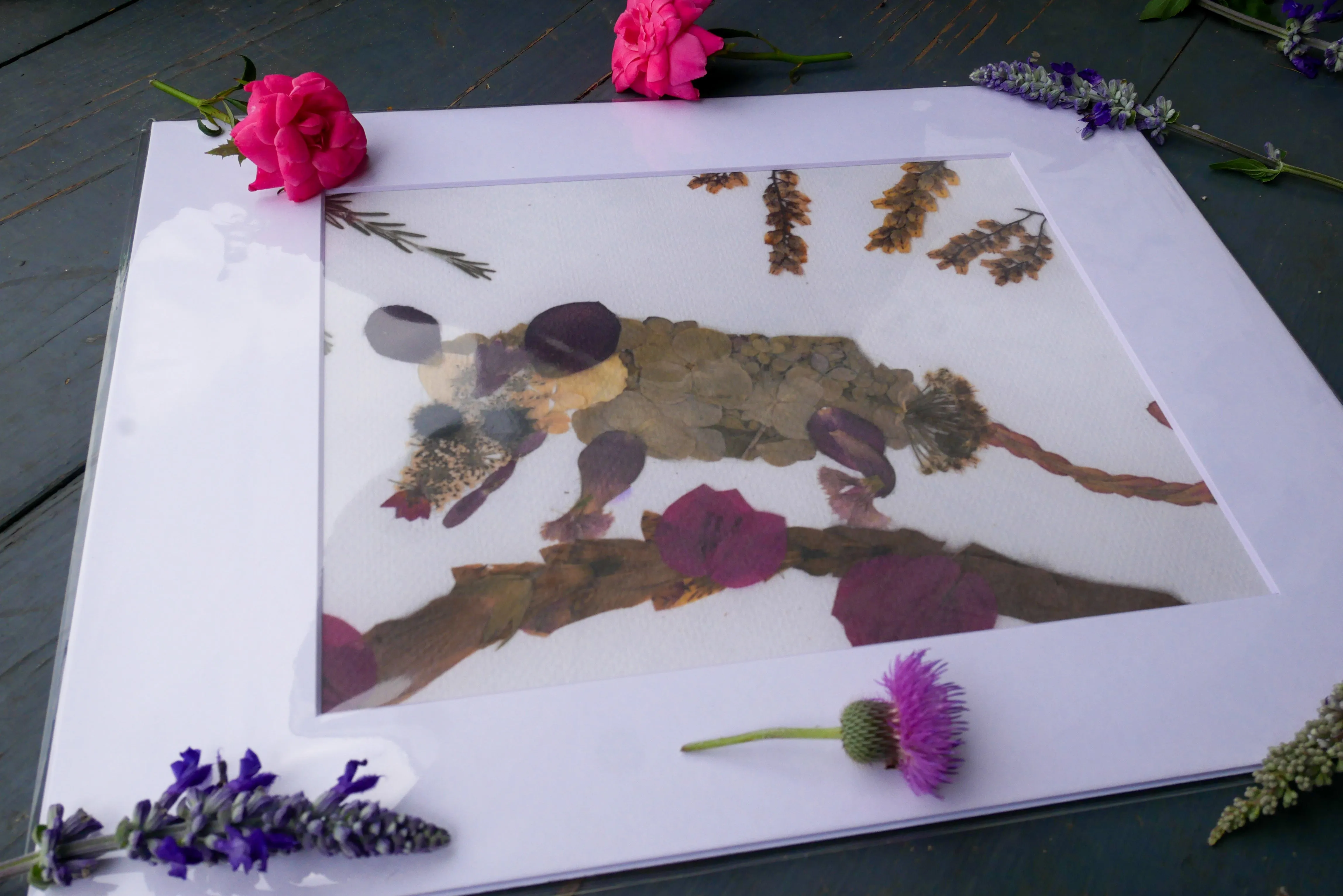 Pressed Flower Possum Print or Greeting Card – Nature-Inspired Art | Cute & Quirky Possum Gift | Botanical Wildlife Print