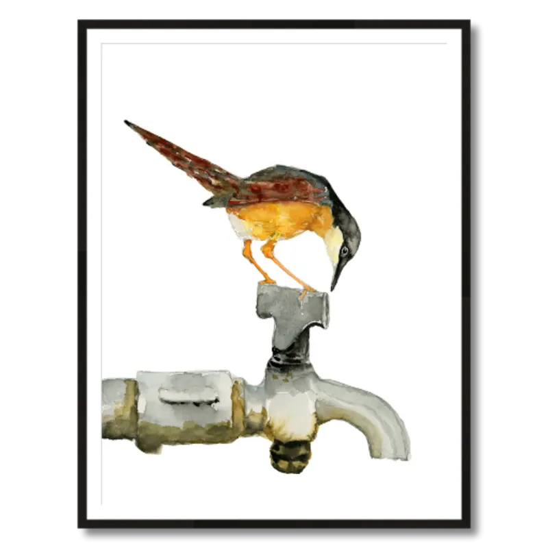 "Ashy Prinia" Bird Art Print