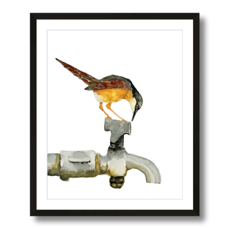 "Ashy Prinia" Bird Art Print