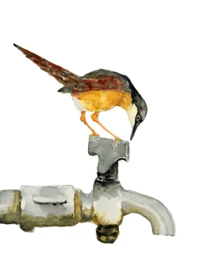 "Ashy Prinia" Bird Art Print