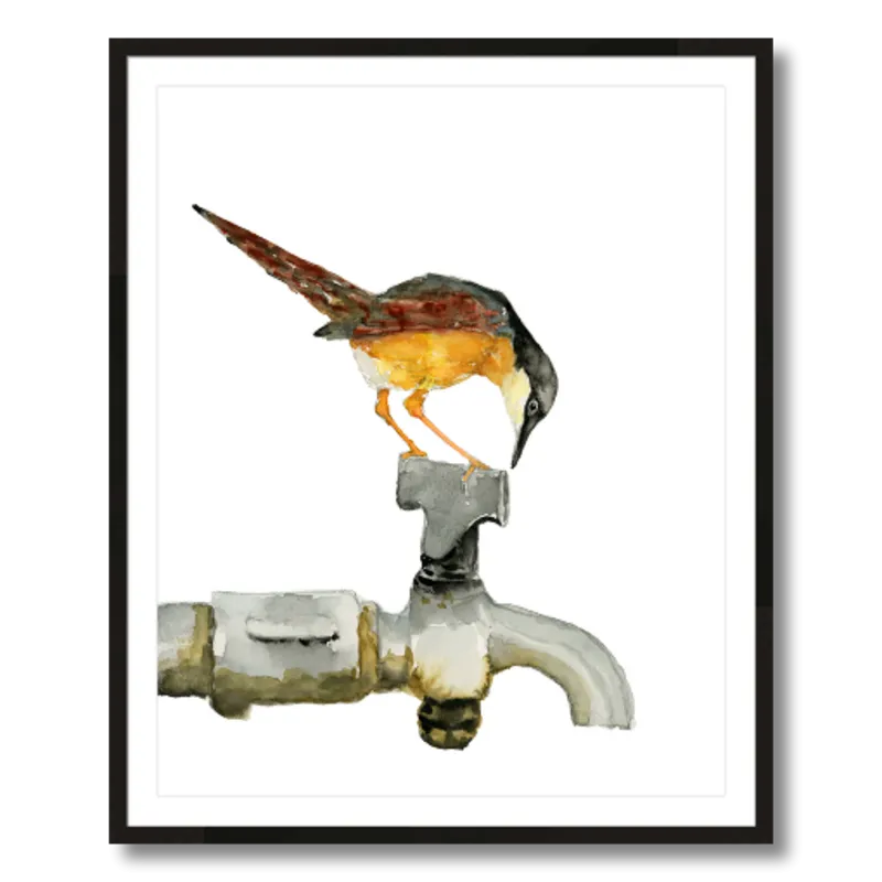 "Ashy Prinia" Bird Art Print