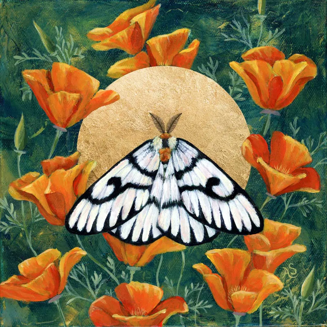 "Hera Buckmoth in Poppies" Moth Art Print