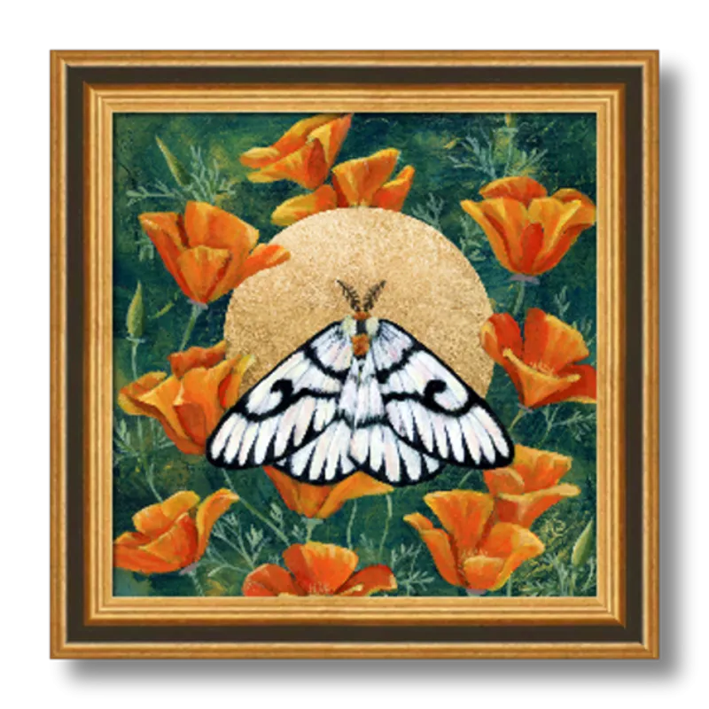 "Hera Buckmoth in Poppies" Moth Art Print