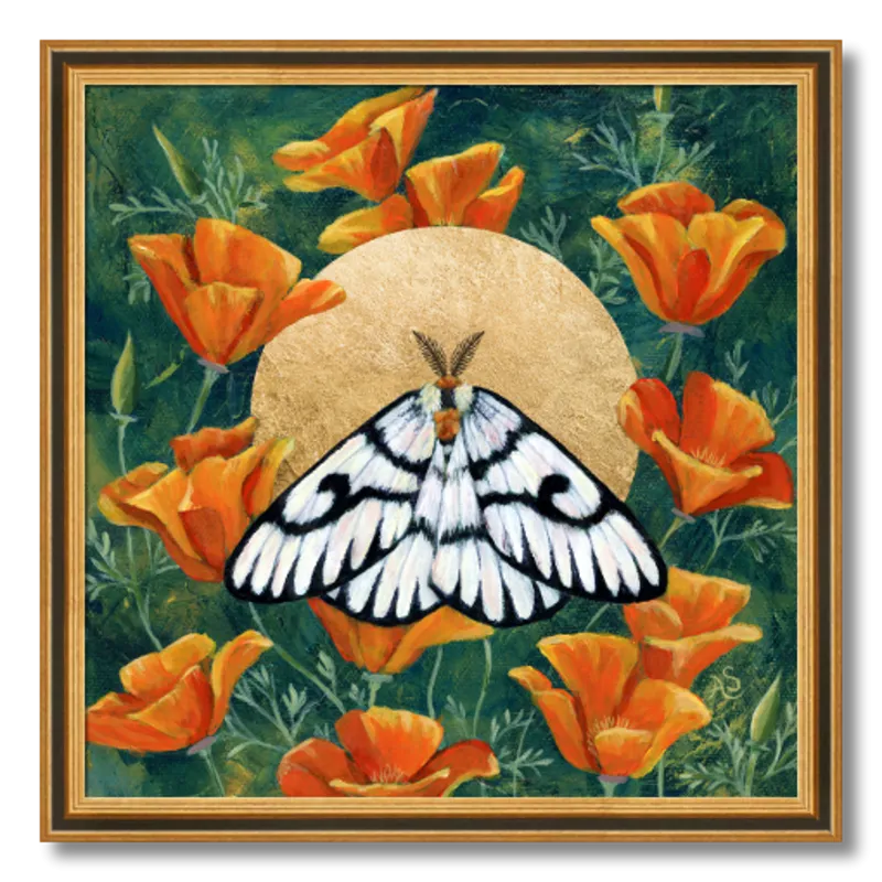 "Hera Buckmoth in Poppies" Moth Art Print