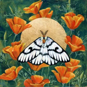 "Hera Buckmoth in Poppies" Moth Art Print