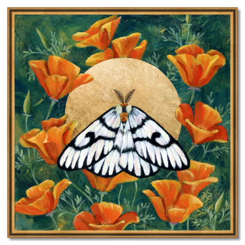 "Hera Buckmoth in Poppies" Moth Art Print