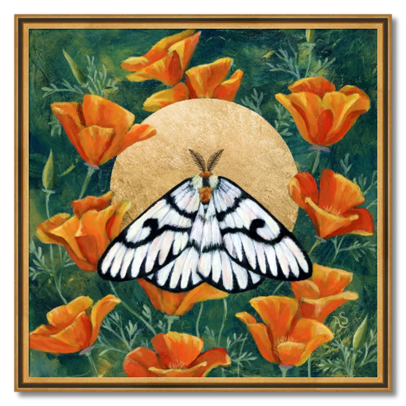 "Hera Buckmoth in Poppies" Moth Art Print