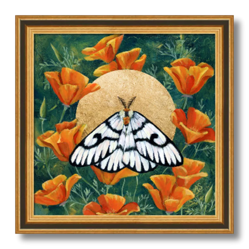 "Hera Buckmoth in Poppies" Moth Art Print