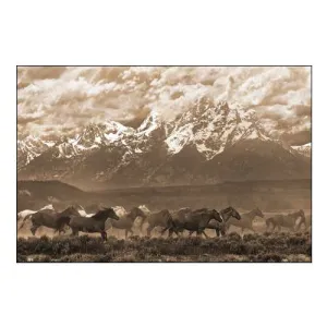 Racing the Storm I