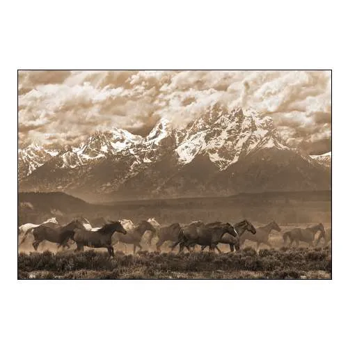 Racing the Storm I